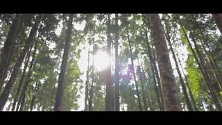 Cinematic Drone Gunung Salak 2211 MDPL By PotretDeno