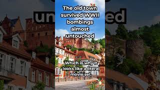 Heidelberg:Straight Out of a Movie #heidelberg #germanytravel #germanylife #funfacts #europetravel