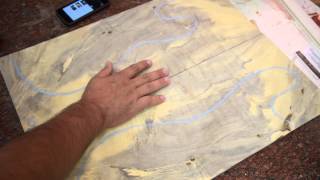 Luthier Wood Review: Buckeye Burl for a Guitar Top tonewood