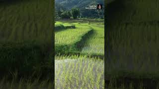 musik gamelan jawa modern - kranding