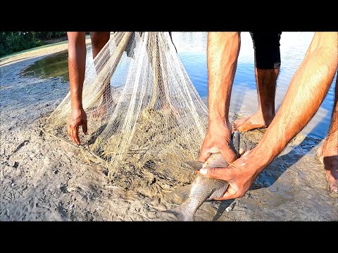 পুকুরে থেকে ঝাকি জালে অনেক মাছ ধরলাম Village Fisherman Catches kids_fishing traditional_fishing
