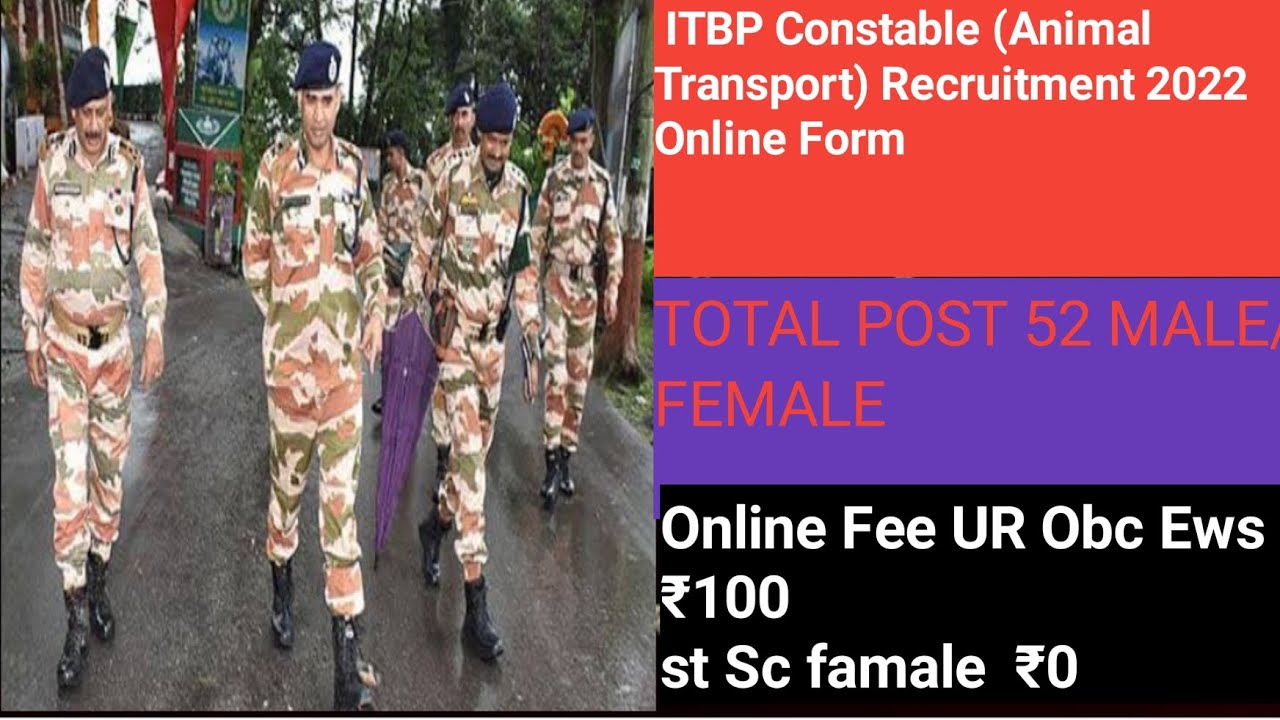 ITBP Constable Animal Transport Recruitment 2022 Online Form YouTube itbp-constable-animal-transport-recruitment-2022-online-form-youtube