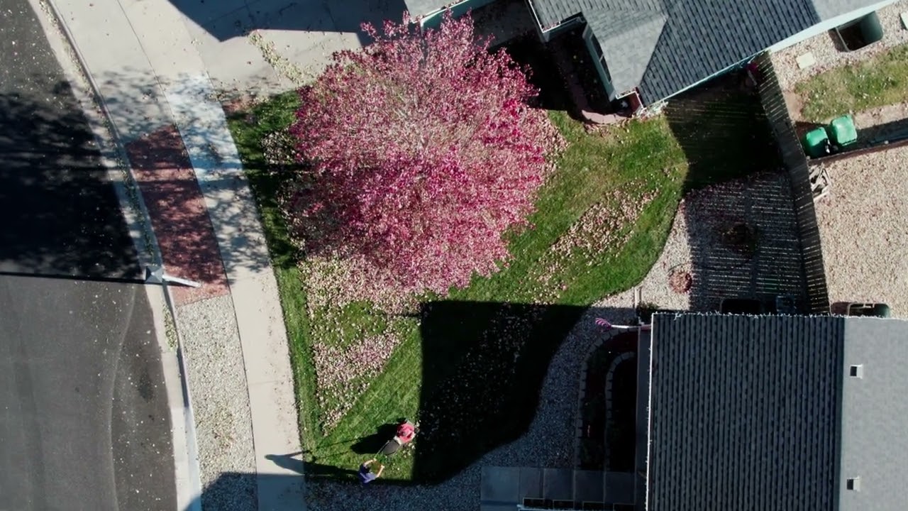 Time-lapse Mowing Lawn |  4K Drone Footage