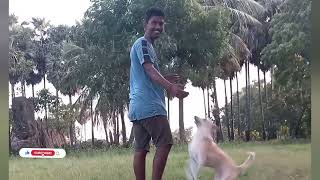 Enathu Pakathu Veed Naaya...