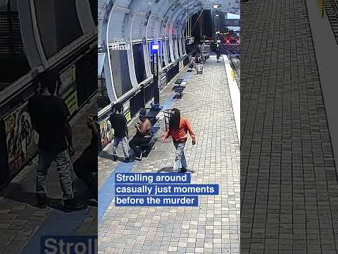 Video Suspect in Ukrainian refugee killing seen before murder