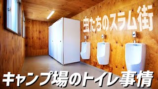 夏のキャンプ場のトイレ事情！そこは虫たちのスラム街！