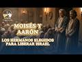 Éxodo: "¿Quién es Yahvé?" La pregunta que desató las plagas de Egipto | Biblia hablada