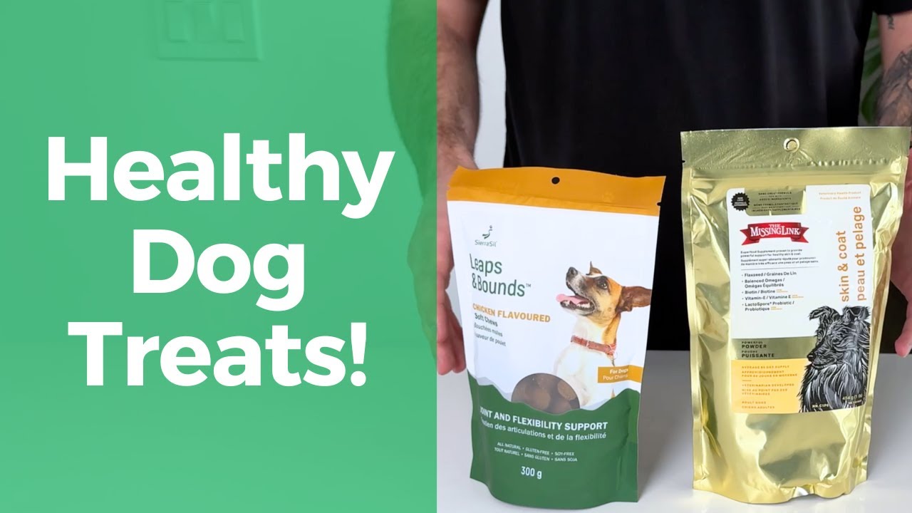 Boost Your Dog’s Skin, Coat & Joint Health with These Supplements