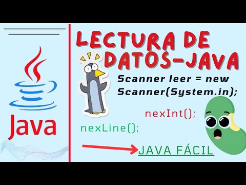 Cómo Leer Datos del Teclado en Java con Scanner | Ejemplo Fácil para Principiantes | Java desde cero