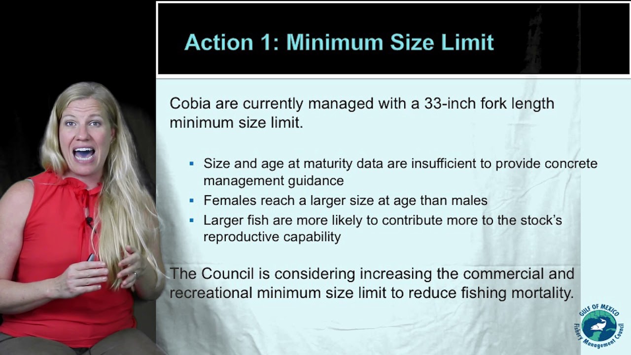 Cobia Size and Possession Limits