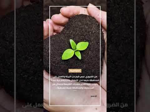 حماية البيئة أولوية وطنية ومسؤولية مجتمعية