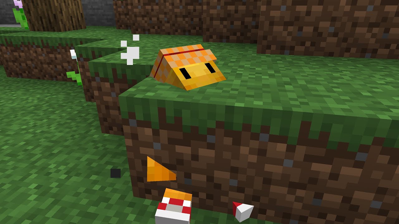 JustJava Season 8: New Beginnings