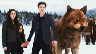 Cj Whoopty Song Ft.twilight Saga Cj Whoopty Remix Twilight Movie Panther S