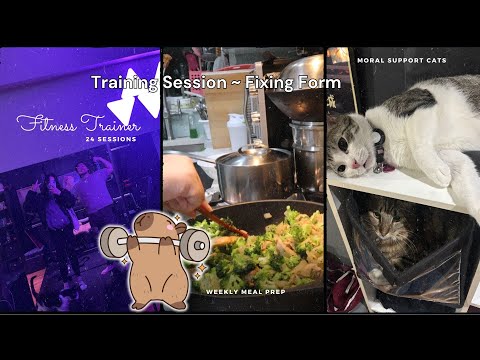 Second training session, more meal prep and honest thoughts | Fitness Vlog