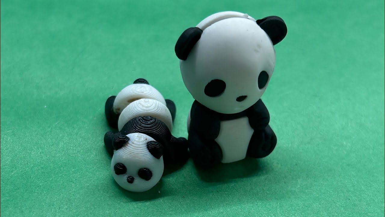 Team panda offers advice 