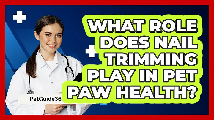 What Role Does Nail Trimming Play In Pet Paw Health? - PetGuide360.com