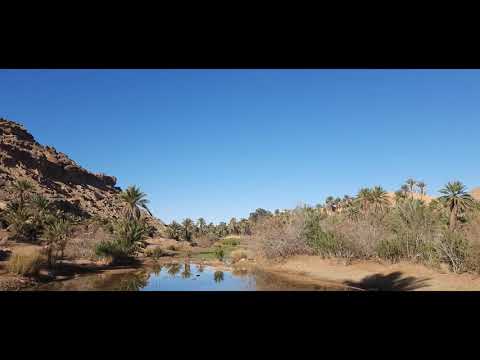 واحة تاغيت Oasis De Taghit