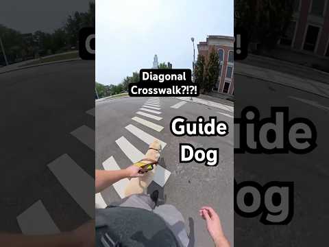 Will My Guide