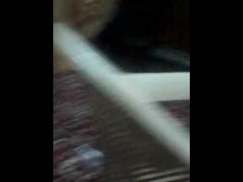 ٢٨ يونيو ٢٠١٦