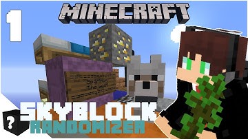 Minecraft Randomizer, But Its Skyblock... And Not Randomizer...