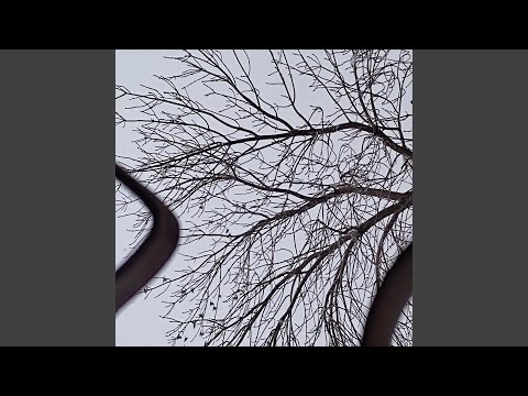 Lil Goo$e - Призрак