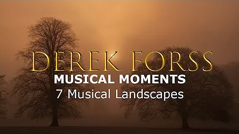 Musical Moments - No.7 Musical Landscapes