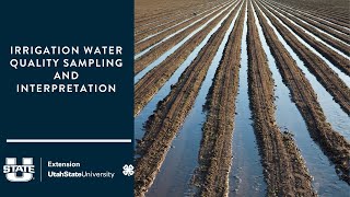 Irrigation Water Quality Sampling and Interpretation