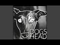 Dogs head