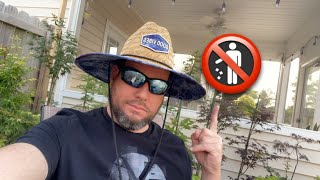 1 Huge Mistake That Can Kill Your Japanese Maples and Conifers. Find out!!!