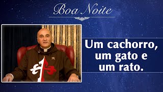 Boa Noite Com Os Arautos - Um Cachorro, Um Gato E Um Rato.