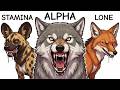 Every Wild Dog Explained in 10 Minutes