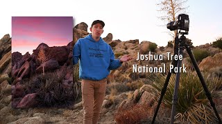 Joshua Tree Photography: Composition and Editing screenshot 1