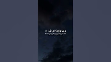 Surah Al-Maidah 118  سورة المائدة #quraniv #quran