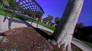 Getting Lucky With the Emax TinyHawk S 2s