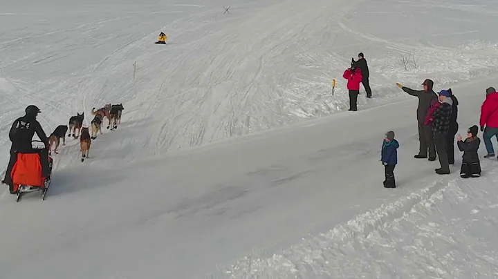 2018 Iditarod - Pete Kaiser - The End of the Line