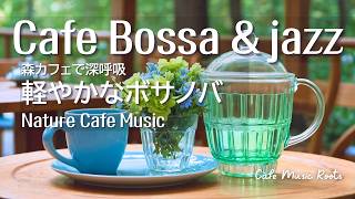 【朝の森カフェ】軽やかなボサノバ・ジャズ 🌿心地よく深呼吸するひととき｜Nature Cafe Music