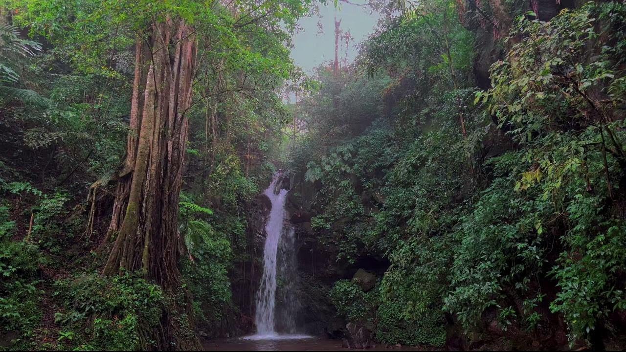 4K-HDR | Relaxing Stream and Waterfall Ambience for Deep Sleep | Natural Sounds for Stress Relief