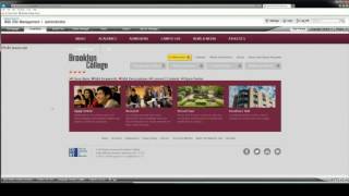 Website Content - Create New Pages