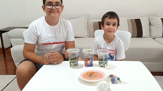 Buğra ile Berat Pamuk Şekerden Sakız Lolipop Draje Şeker Çıkardı screenshot 2