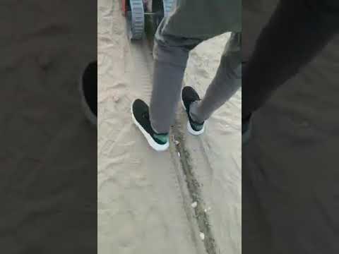 ماكينة زراعة الثوم