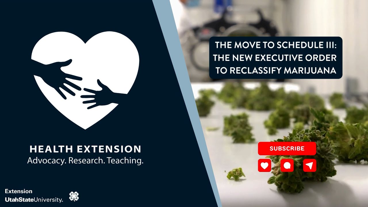 Что означает переклассификация марихуаны?