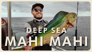 Offshore fishing for Mahi Mahi (dolphinfish) in Yamba, NSW