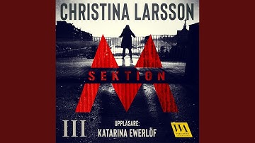 Chapter 21.3 - Sektion M III