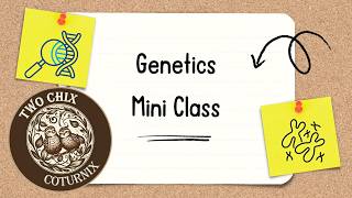 Genetics Mini Course!