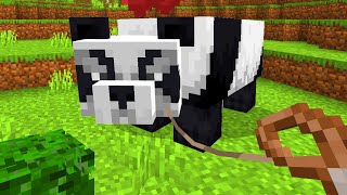 How To Tame Panda In Minecraft?