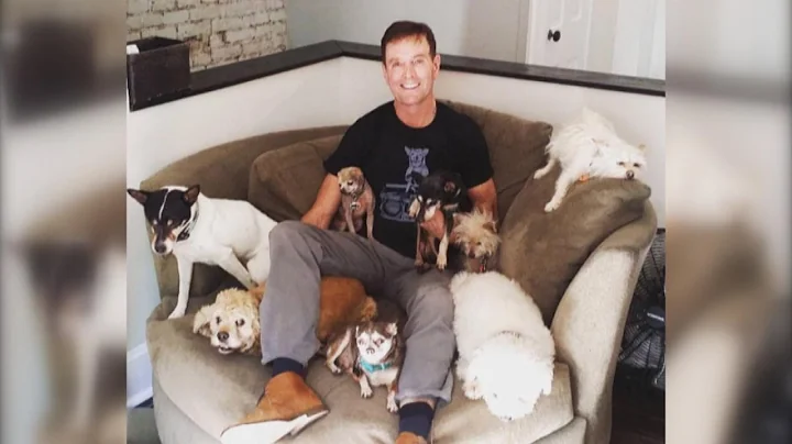 52-Year-Old Animal Lover Can't Stop Adopting Senior Dogs No One Wants - DayDayNews