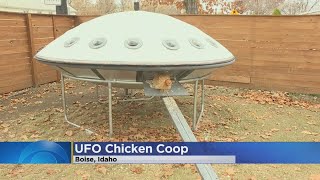 chicken coop ufo designs