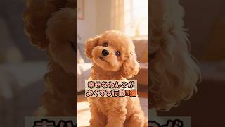 幸せなわんこがよくする行動3選 #幸せなわんこ #犬の気持ち #犬の行動 #愛犬との暮らし #わんこの秘密 #犬好きさんと繋がりたい #犬動画 #癒し動画 #YouTubeショート #Shorts