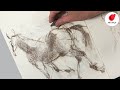 Top Gesture Drawing Tips: Sketching Horses, Step by Step