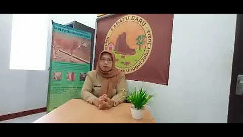 Calon Kandidat Pegawai Berkinerja Terbaik Provinsi Jawa Barat Bulan Januari - Erni Sulastri - DKPP